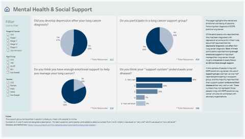 Mental health and social support screen view of the EGFR data explorer