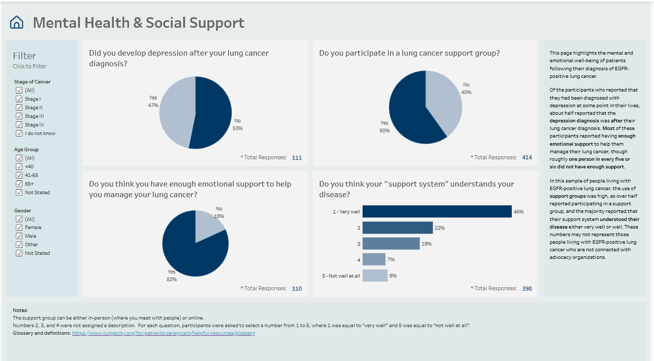 Mental health and social support screen view of the EGFR data explorer
